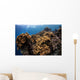 Soft Corals Colorful Reefs Wall Decal