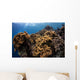 Soft Corals Colorful Reefs Wall Decal