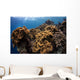Soft Corals Colorful Reefs Wall Decal