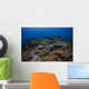 Reefscape Banda Sea Indonesia Wall Decal