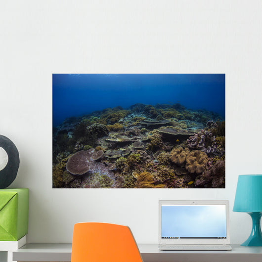 Reefscape Banda Sea Indonesia Wall Decal