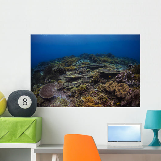 Reefscape Banda Sea Indonesia Wall Decal