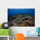 Reefscape Banda Sea Indonesia Wall Decal