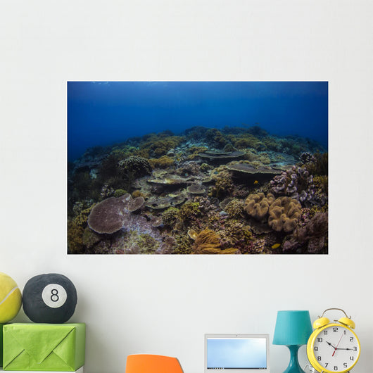 Reefscape Banda Sea Indonesia Wall Decal