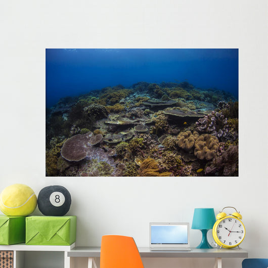 Reefscape Banda Sea Indonesia Wall Decal