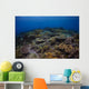Reefscape Banda Sea Indonesia Wall Decal