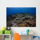 Reefscape Banda Sea Indonesia Wall Decal
