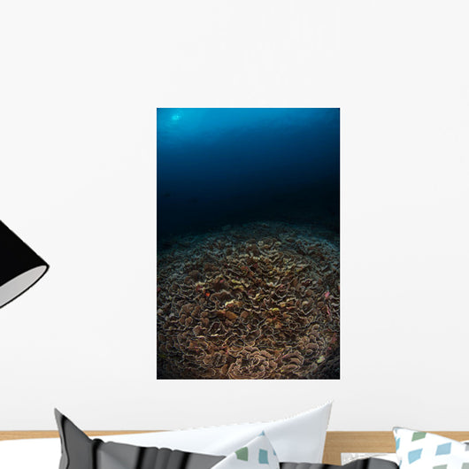 Reefscape with Sunburst Banda Wall Decal