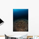 Reefscape with Sunburst Banda Wall Decal