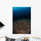 Reefscape with Sunburst Banda Wall Decal