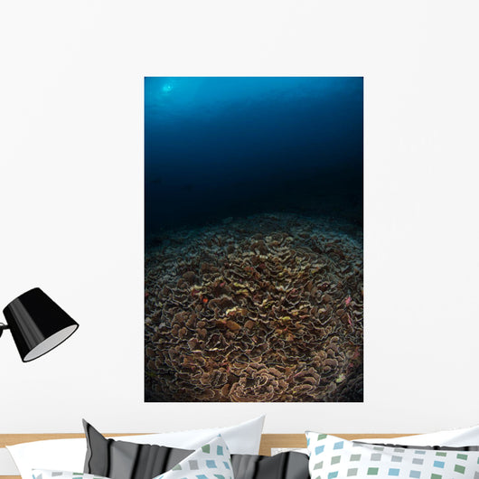Reefscape with Sunburst Banda Wall Decal