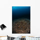 Reefscape with Sunburst Banda Wall Decal
