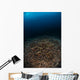 Reefscape with Sunburst Banda Wall Decal
