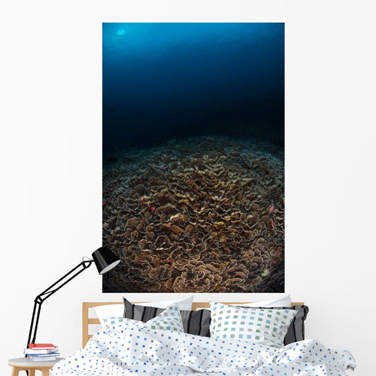 Reefscape with Sunburst Banda Wall Decal
