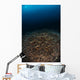 Reefscape with Sunburst Banda Wall Decal