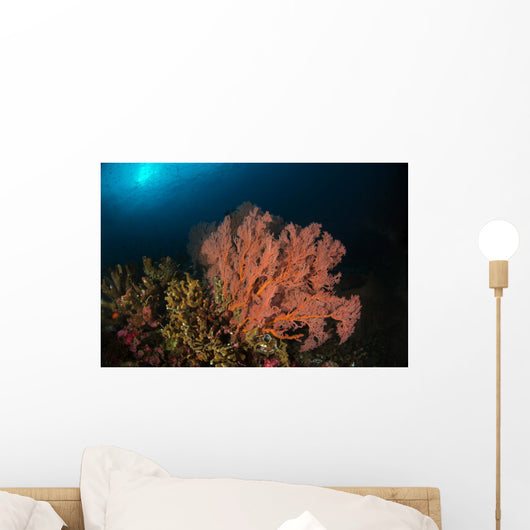 Sea Fan Colorful Reefs Wall Decal