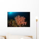 Sea Fan Colorful Reefs Wall Decal