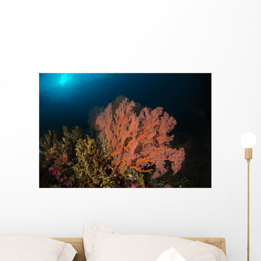 Sea Fan Colorful Reefs Wall Decal