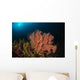Sea Fan Colorful Reefs Wall Decal