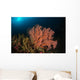 Sea Fan Colorful Reefs Wall Decal