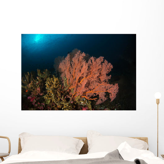 Sea Fan Colorful Reefs Wall Decal