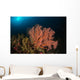 Sea Fan Colorful Reefs Wall Decal