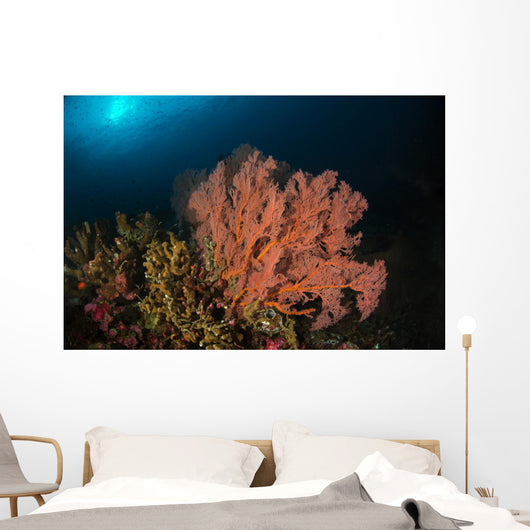 Sea Fan Colorful Reefs Wall Decal