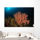 Sea Fan Colorful Reefs Wall Decal
