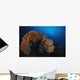 Sea Fan Colorful Reefs Horizontal Wall Decal