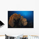 Sea Fan Colorful Reefs Horizontal Wall Decal