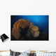 Sea Fan Colorful Reefs Horizontal Wall Decal