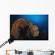 Sea Fan Colorful Reefs Horizontal Wall Decal