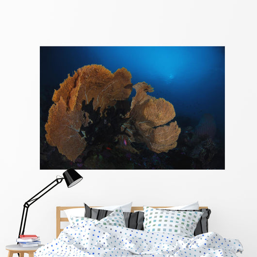 Sea Fan Colorful Reefs Horizontal Wall Decal