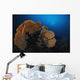Sea Fan Colorful Reefs Horizontal Wall Decal