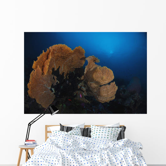 Sea Fan Colorful Reefs Horizontal Wall Decal