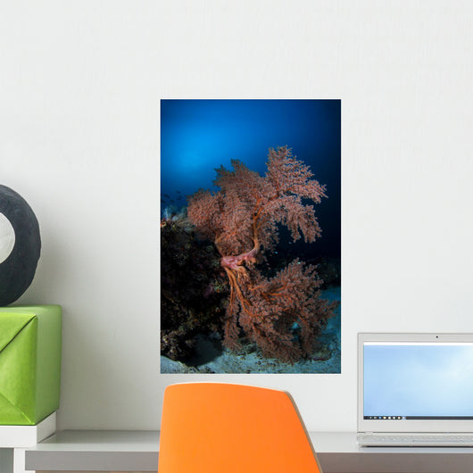 Sea Fan Colorful Reefs Vertical Wall Decal