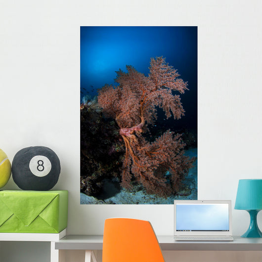 Sea Fan Colorful Reefs Vertical Wall Decal