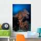 Sea Fan Colorful Reefs Vertical Wall Decal