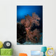 Sea Fan Colorful Reefs Vertical Wall Decal