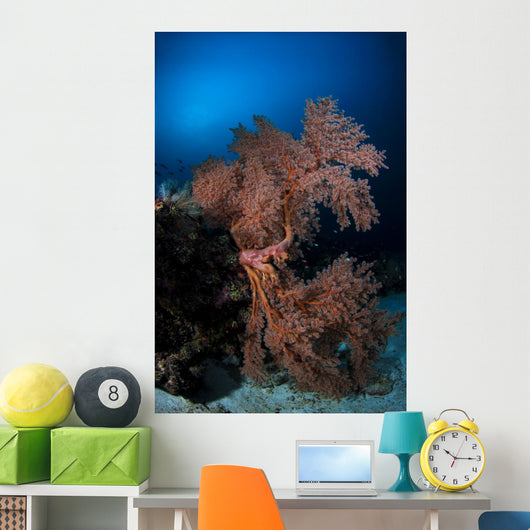 Sea Fan Colorful Reefs Vertical Wall Decal