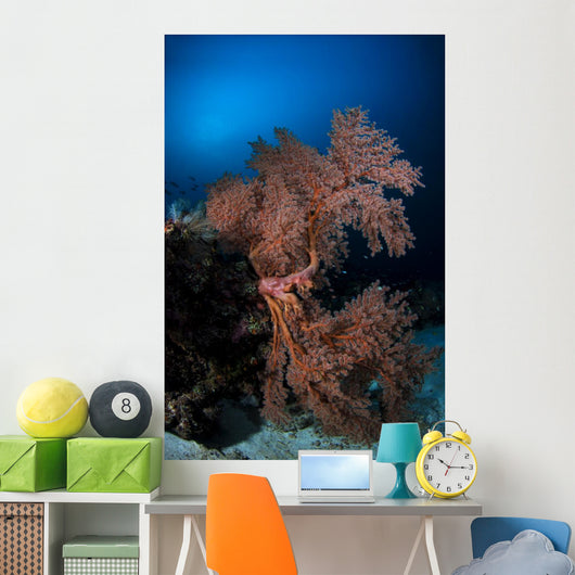 Sea Fan Colorful Reefs Vertical Wall Decal
