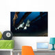 Batfishes Swimming around Shipwreck Wall Decal