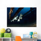 Batfishes Swimming around Shipwreck Wall Decal