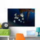 Batfishes Swimming around Shipwreck Close-up Wall Decal
