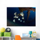Batfishes Swimming around Shipwreck Close-up Wall Decal