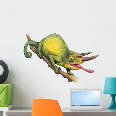 Jacksons Chameleon Reptile Wall Decal shown on a wall