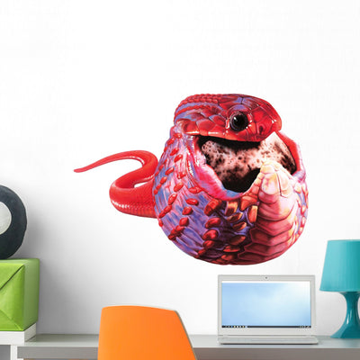 African Egg-eating Snake Wall Decal shown on a wall