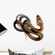 African Twig Snake Wall Decal