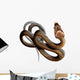 African Twig Snake Wall Decal