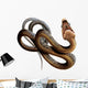 African Twig Snake Wall Decal
